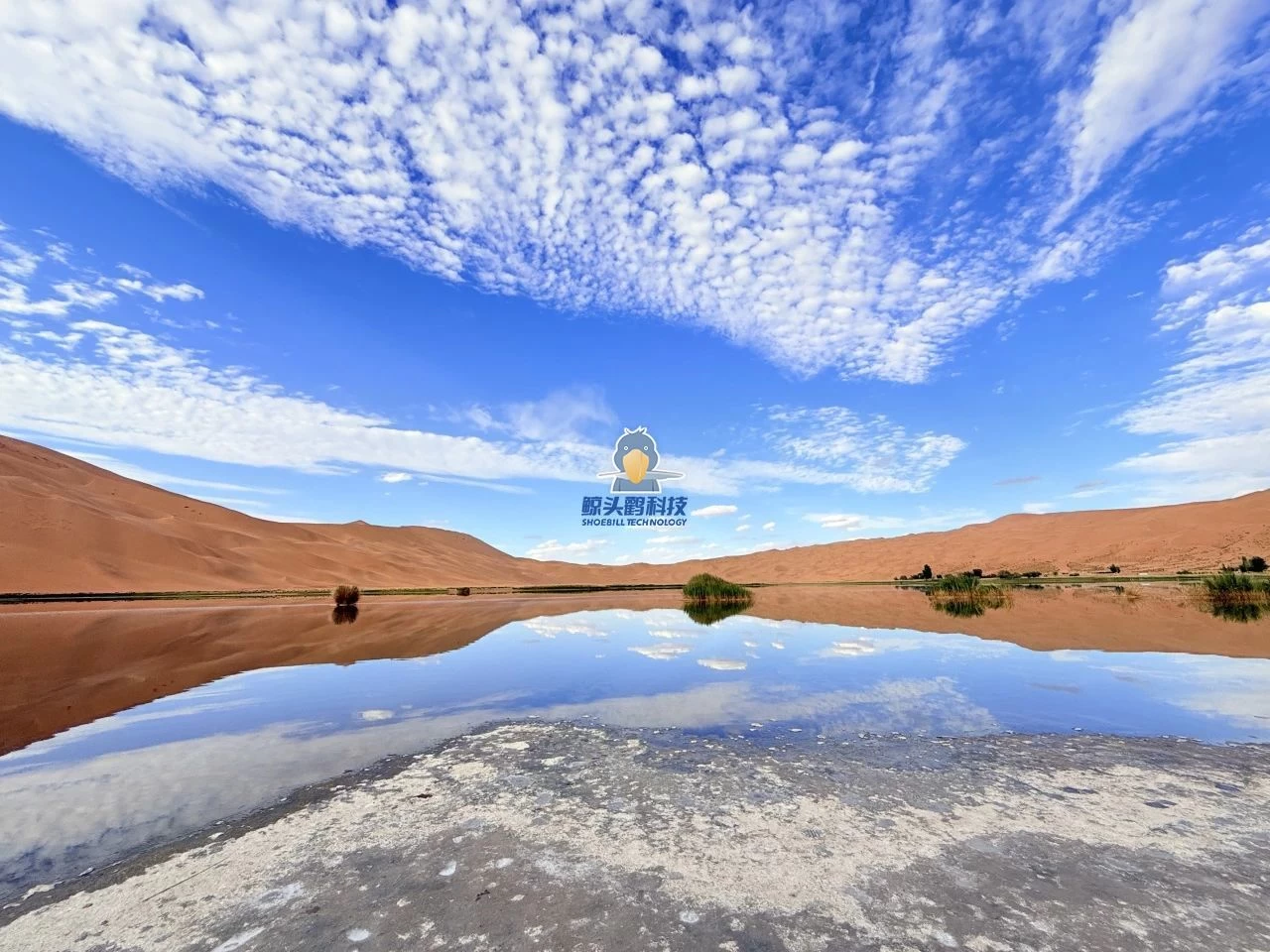 ผจญภัยสู่ใจกลางทะเลทราย ผจญภัยสู่ใจกลางทะเลทราย