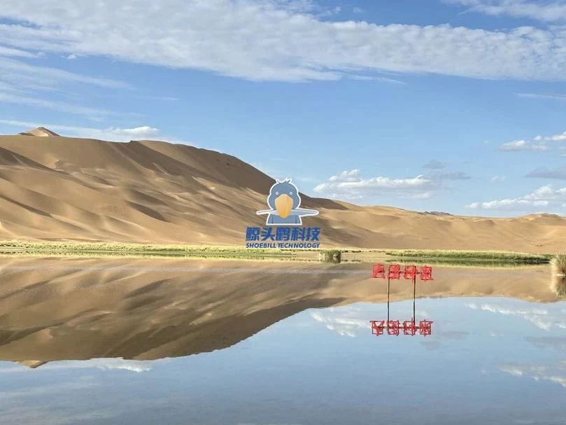 ผจญภัยสู่ใจกลางทะเลทราย ผจญภัยสู่ใจกลางทะเลทราย