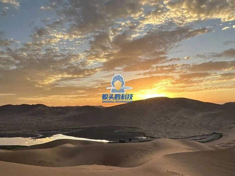 ผจญภัยสู่ใจกลางทะเลทราย ผจญภัยสู่ใจกลางทะเลทราย