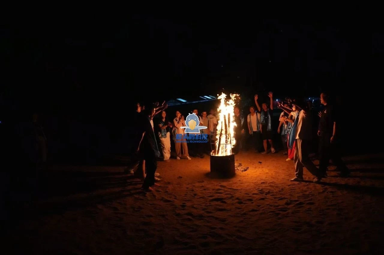 ดอกไม้ไฟ ดอกไม้ไฟ